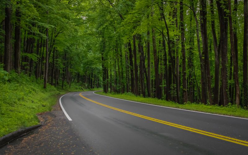 Road Coating Service in Grand Rapids, MI